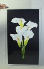 Crowborough Lillies - Sold