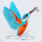 Kingfisher - SOLD